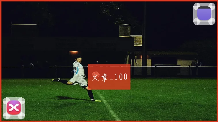 文章_100